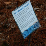 Salamander Habitat sign at the NC Botanical Garden