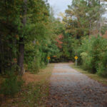 Autumn on the Shiloh Greenway